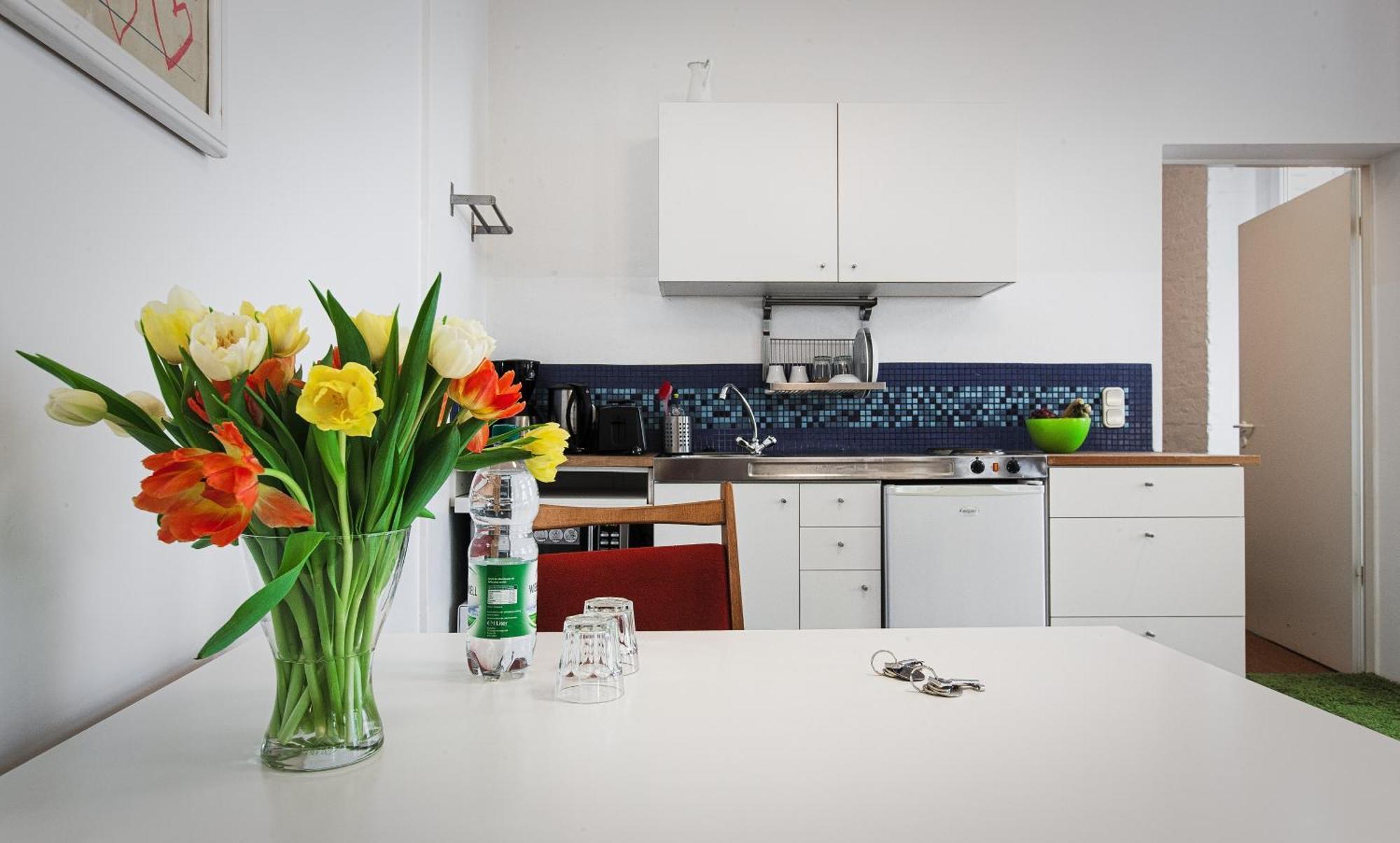 Mini-loft Appartamento *